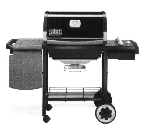 Weber Genesis Silver A.jpg